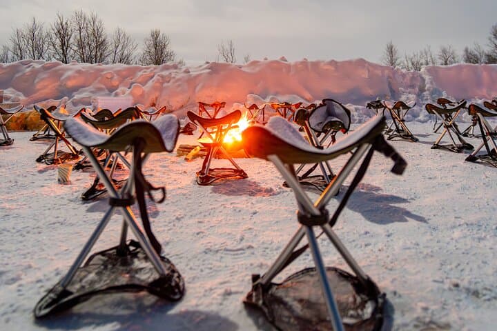 Tromsø: Small Group Northern Lights Tour with Expert Guide & Photos photo 6