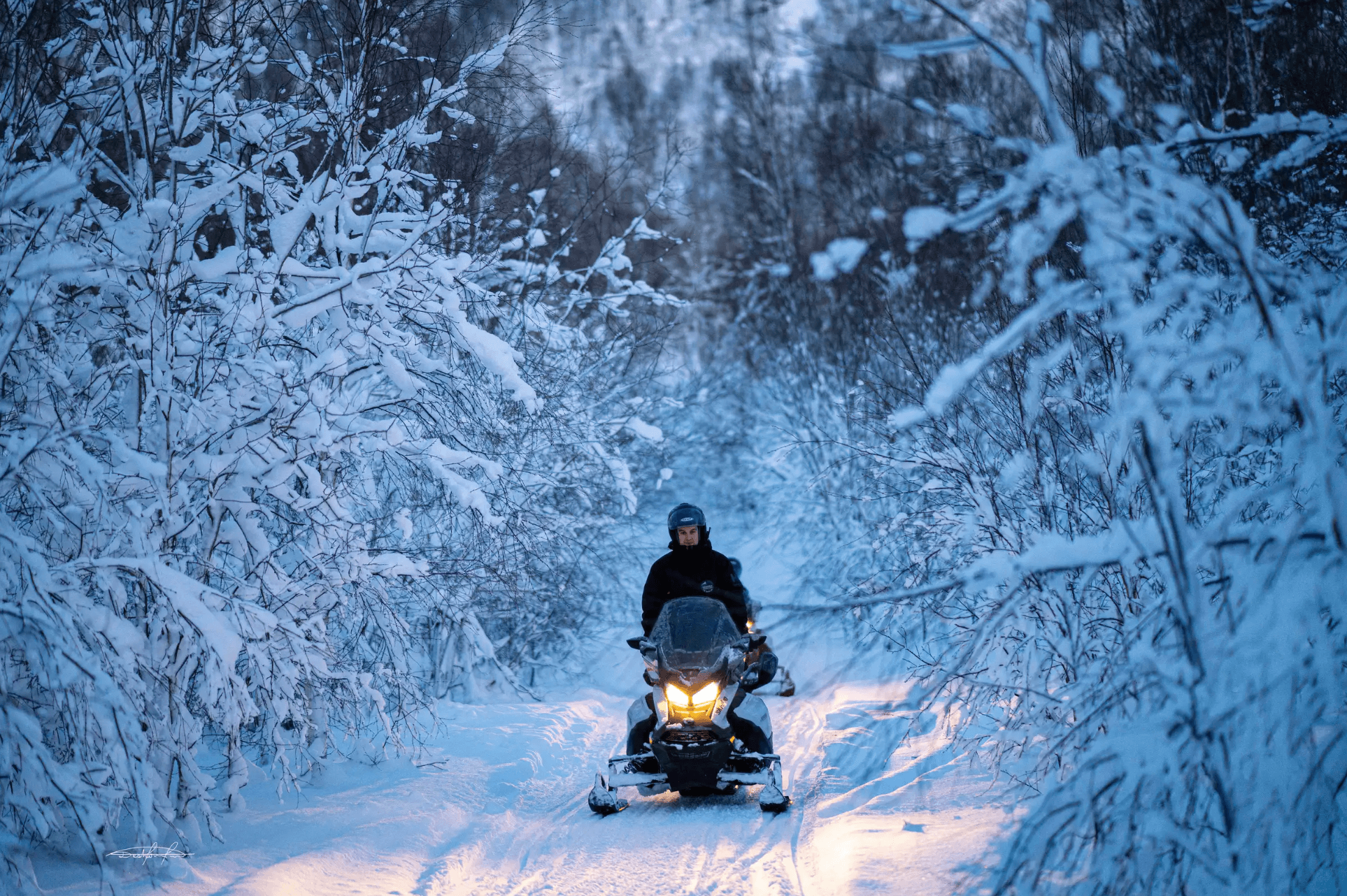 Tromsø: Local Snowmobile Experience photo 6