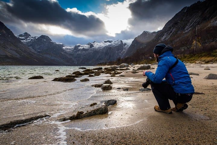 Arctic Nature Tour from Tromsø with Scenic Sommarøy picnic photo 3