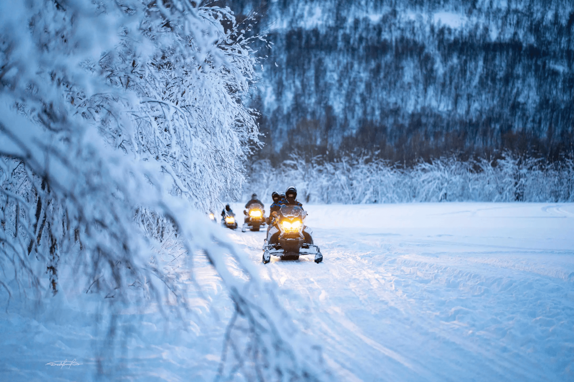 Tromsø: Local Snowmobile Experience photo 9