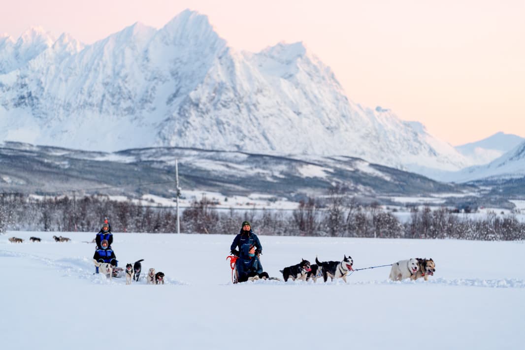 Tromsø: Fun & Easy Dog Sledding Adventure