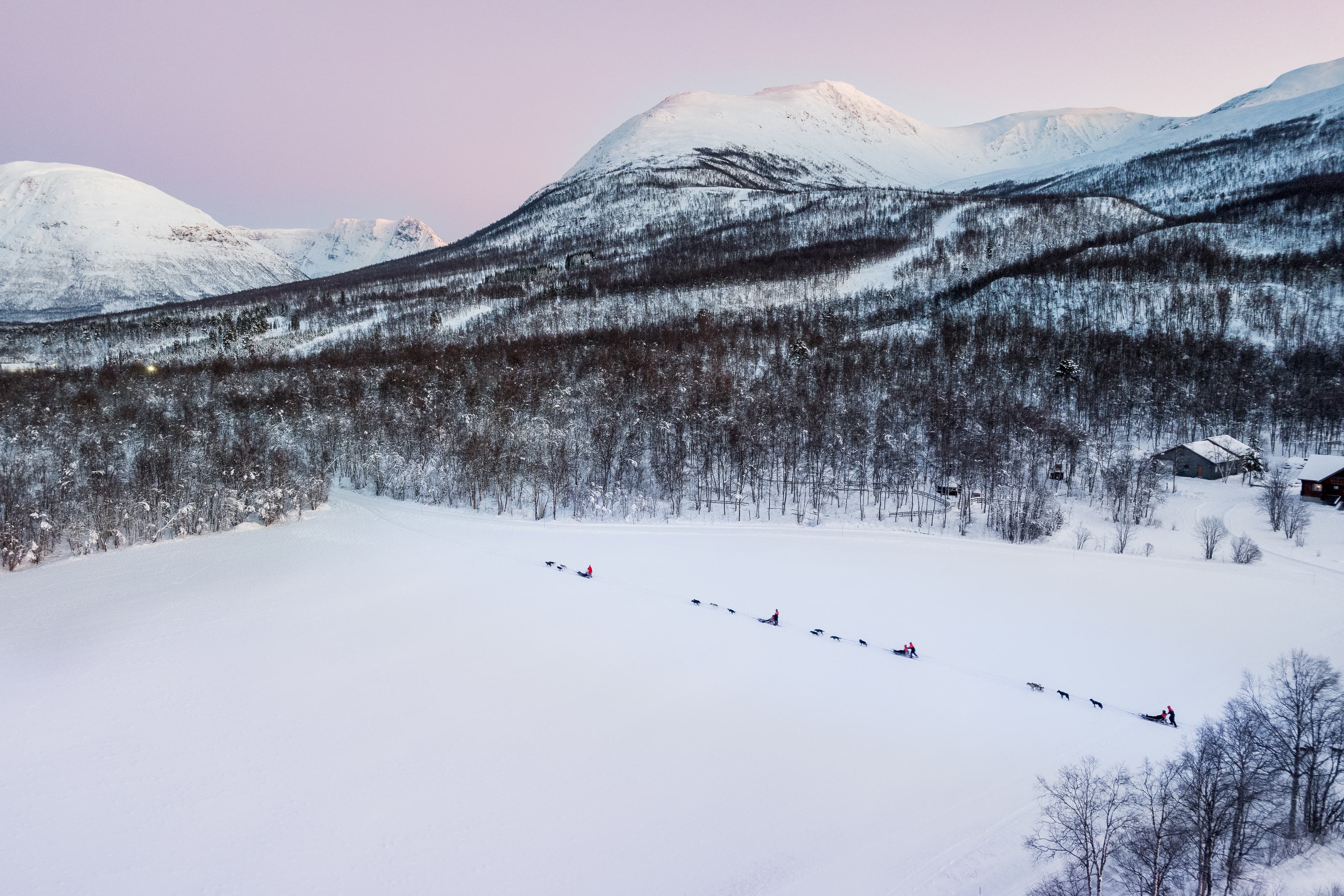 Tromsø: Advanced Dog Sledding at Camp Tamok photo 5
