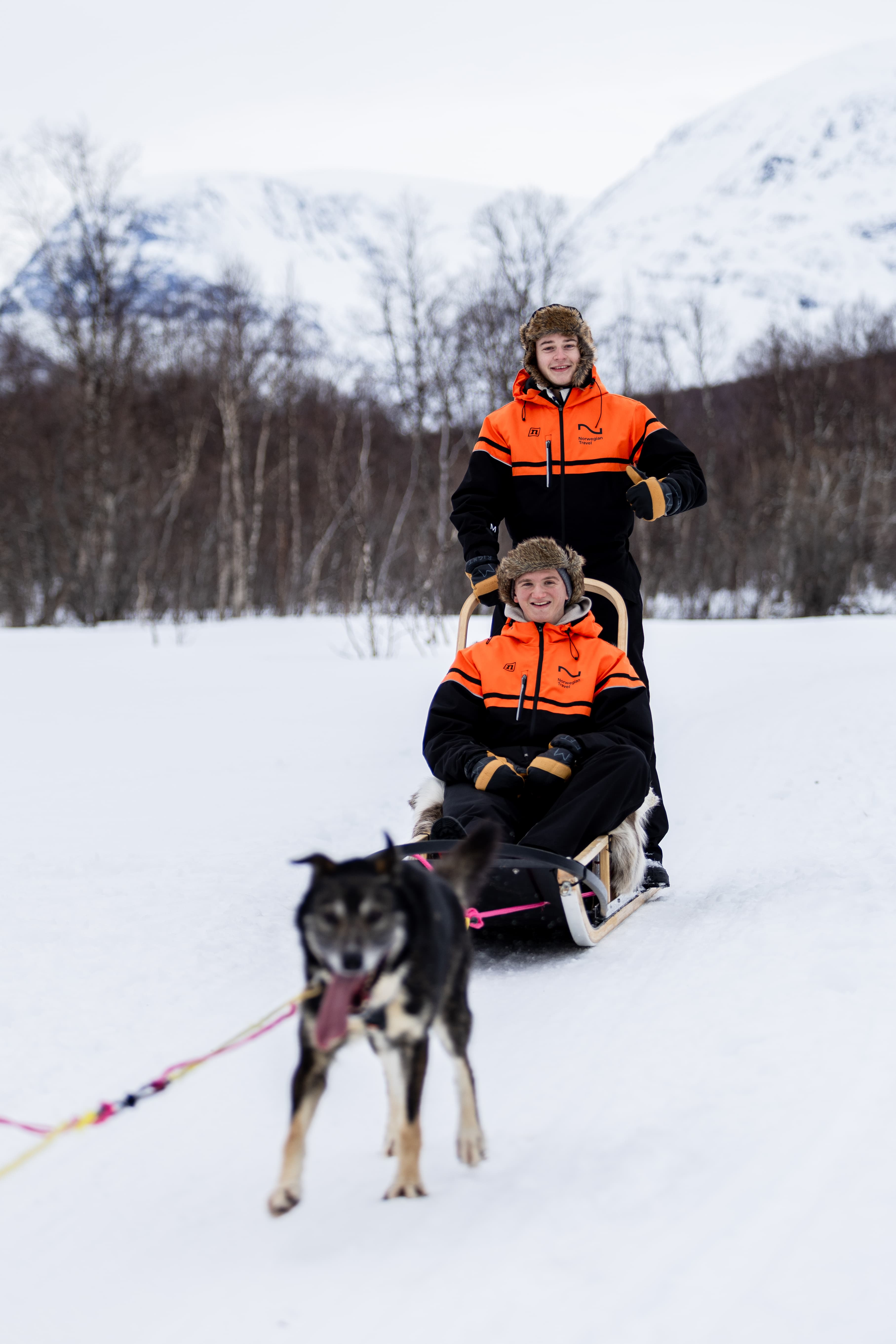 Tromsø: Advanced Dog Sledding at Camp Tamok photo 3