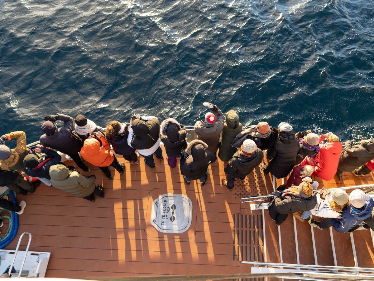 Silent Whale Watching photo 8