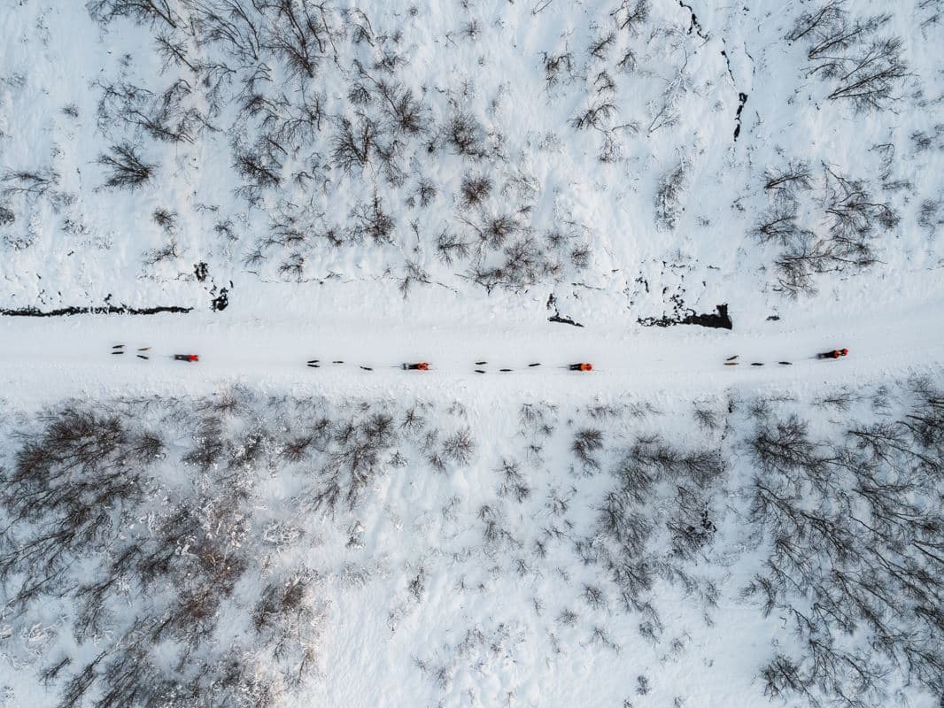 Dog Sledding Adventure at Tamokhuset photo 4