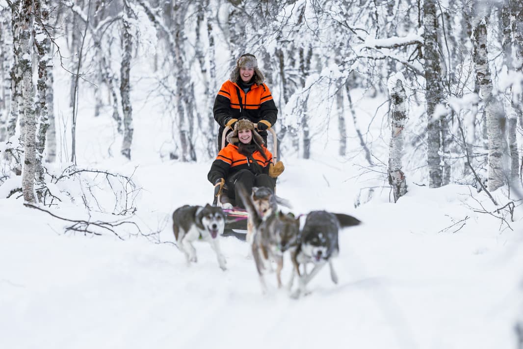 Tromsø: Dog Sledding Adventure at Tamokhuset photo 2