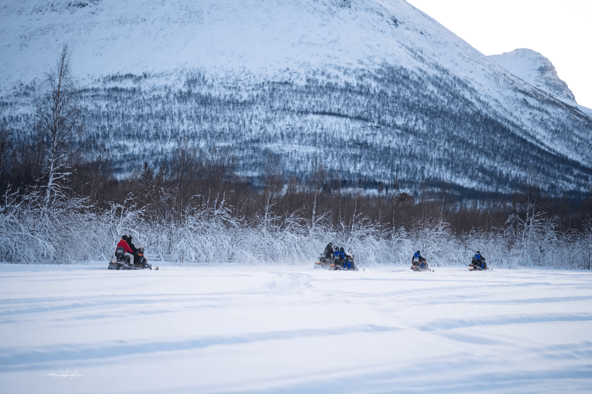Tromsø: Local Snowmobile Experience photo 10