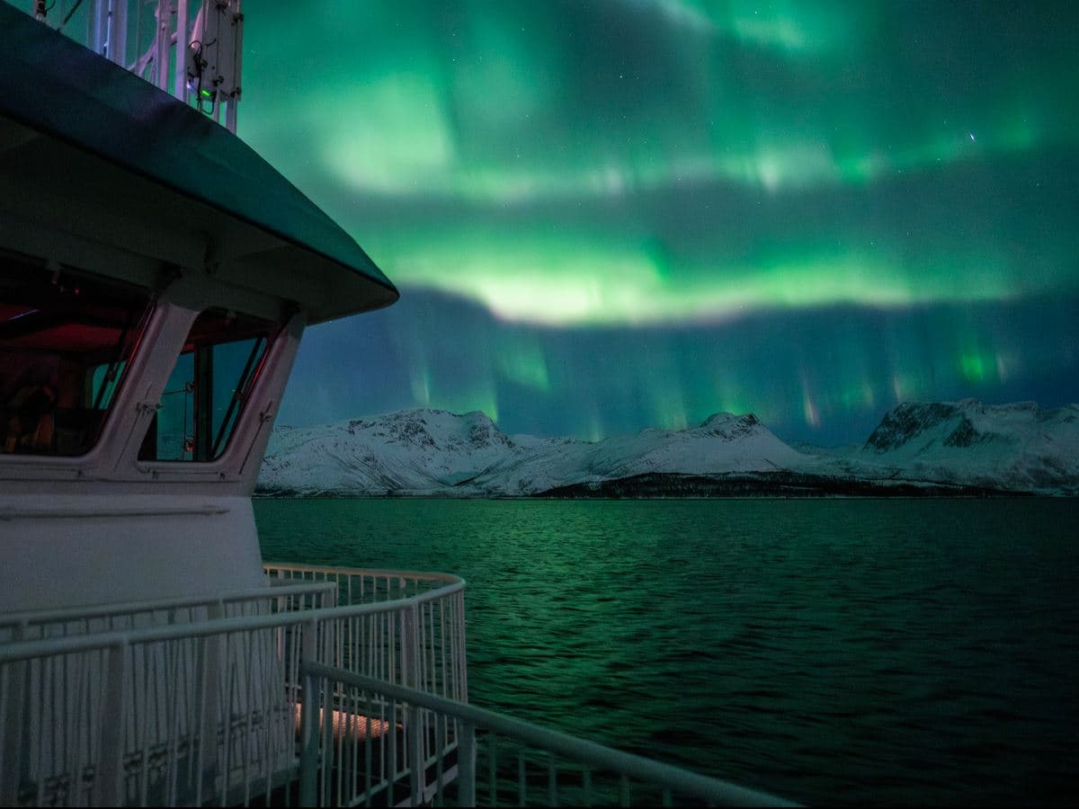 24hrs Northern Lights & Whale Watching Cruise: Twin Cabin photo 2