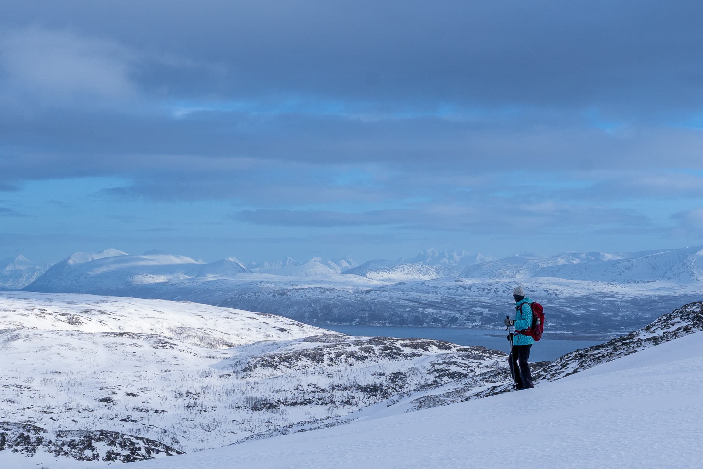 Tromsø: Snowshoe Hike with Local Guides photo 12