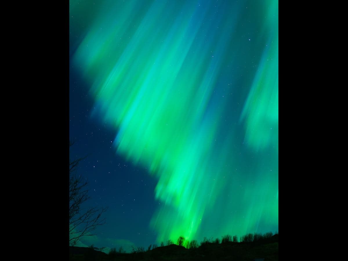 Arctic All-in-One Night: Dog Sledding, Snowmobiling & Northern Lights at Camp Tamok photo 4