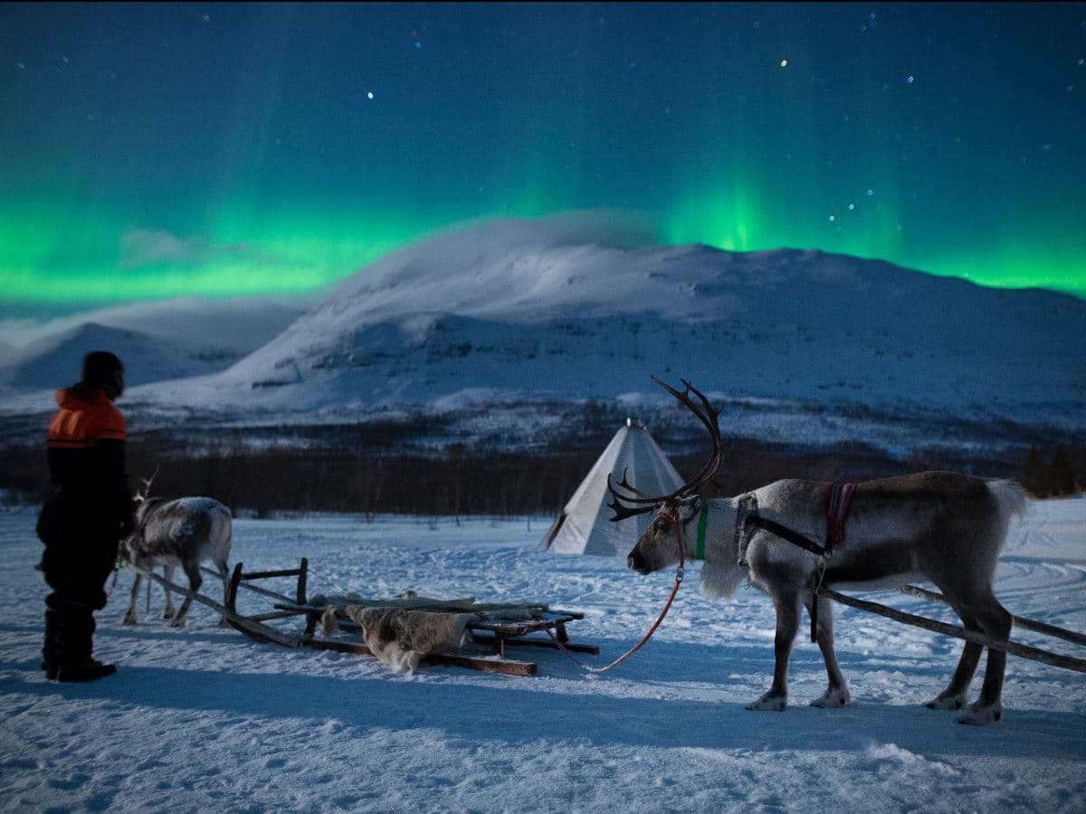 Sami Culture, Northern Lights & Reindeer Visit at Camp Tamok photo 2