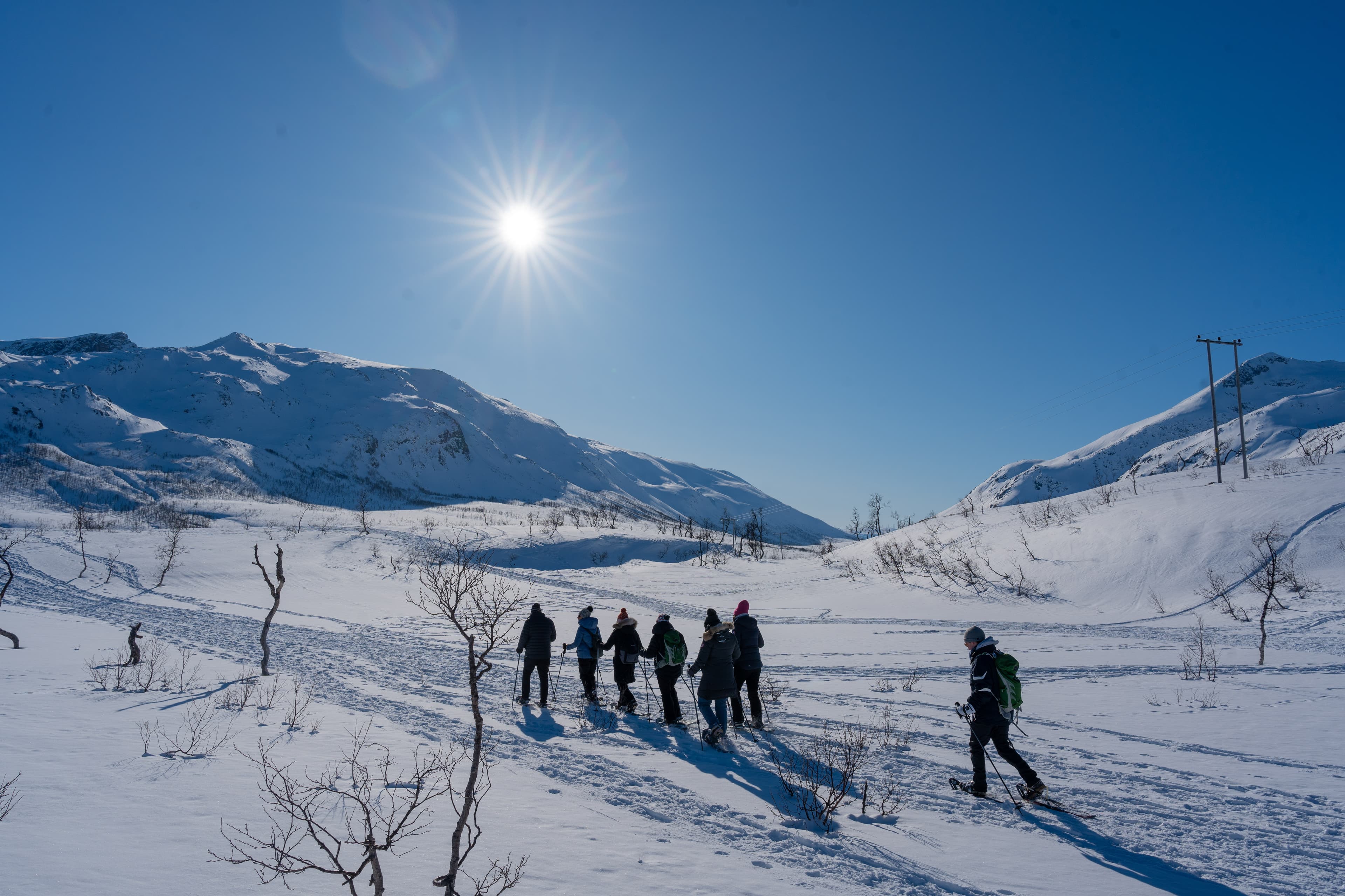 Tromsø: Snowshoe Hike with Local Guides photo 5