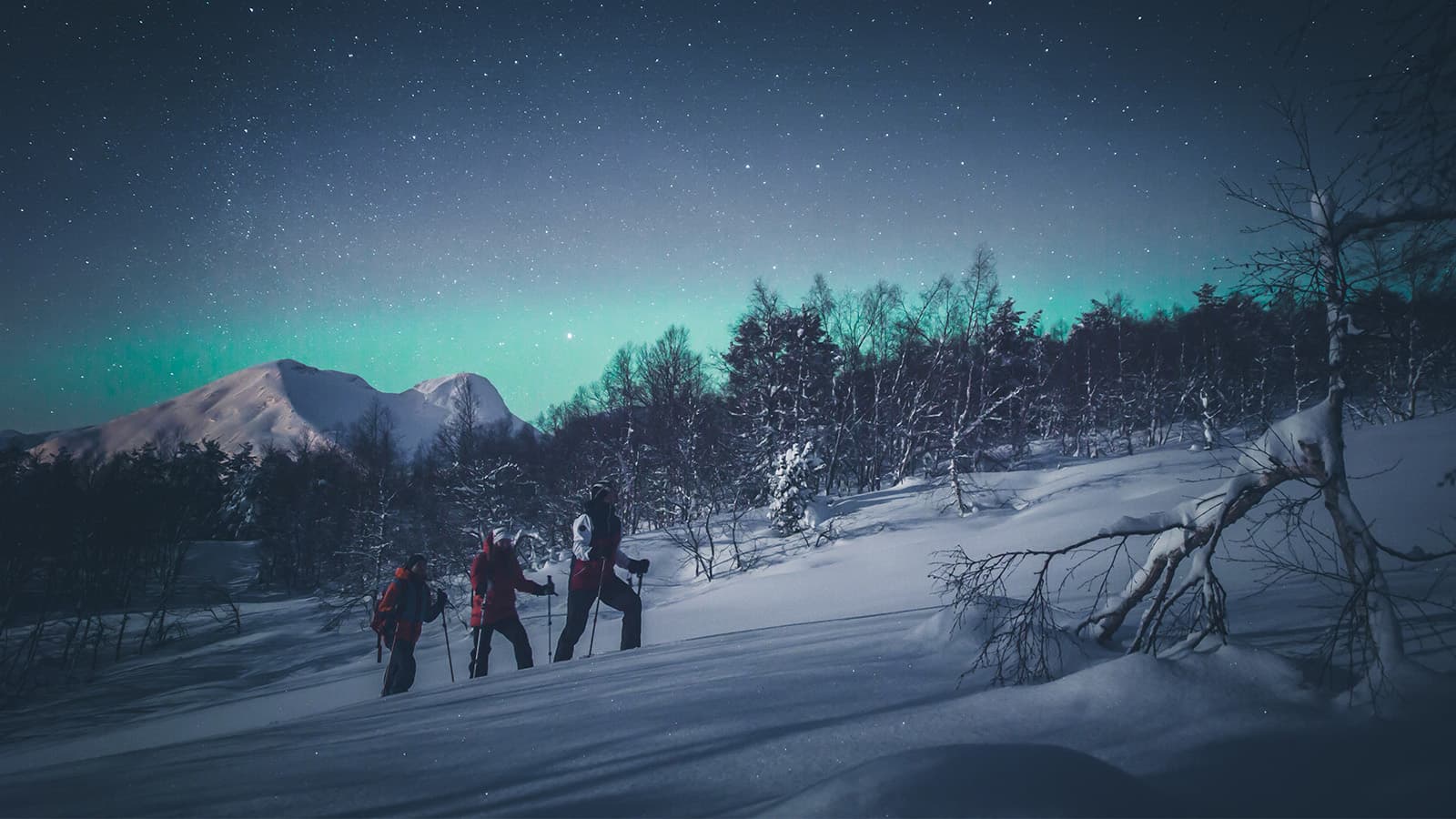 Trugetur med Nordlysjakt