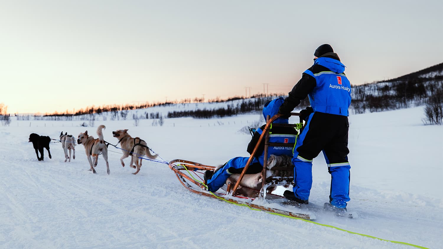 Tromsø: Hundeschlitten-Erlebnis bei Aurora Husky photo 2