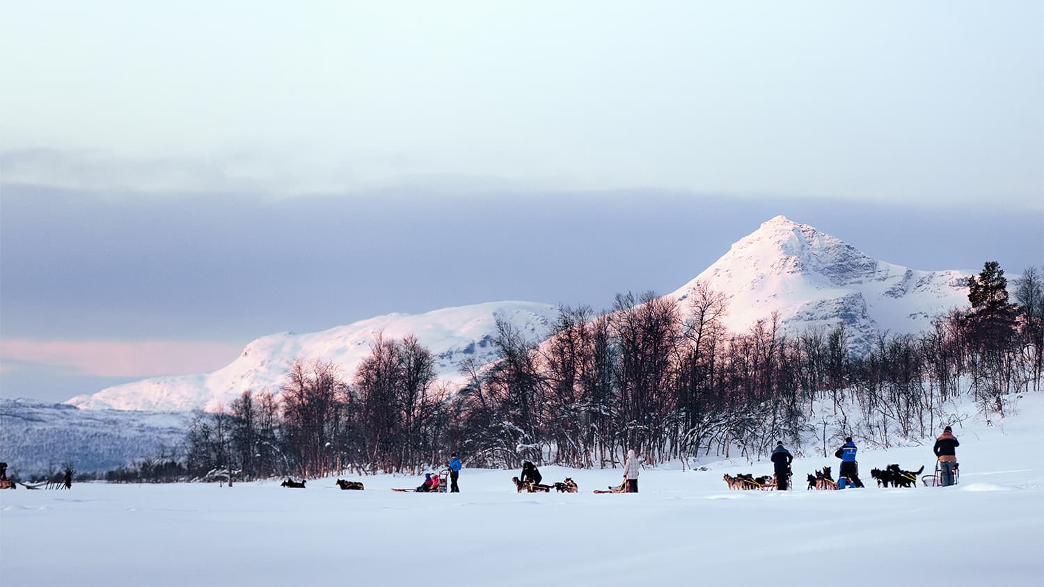 Tromsø: Hundeschlitten-Erlebnis bei Aurora Husky photo 6