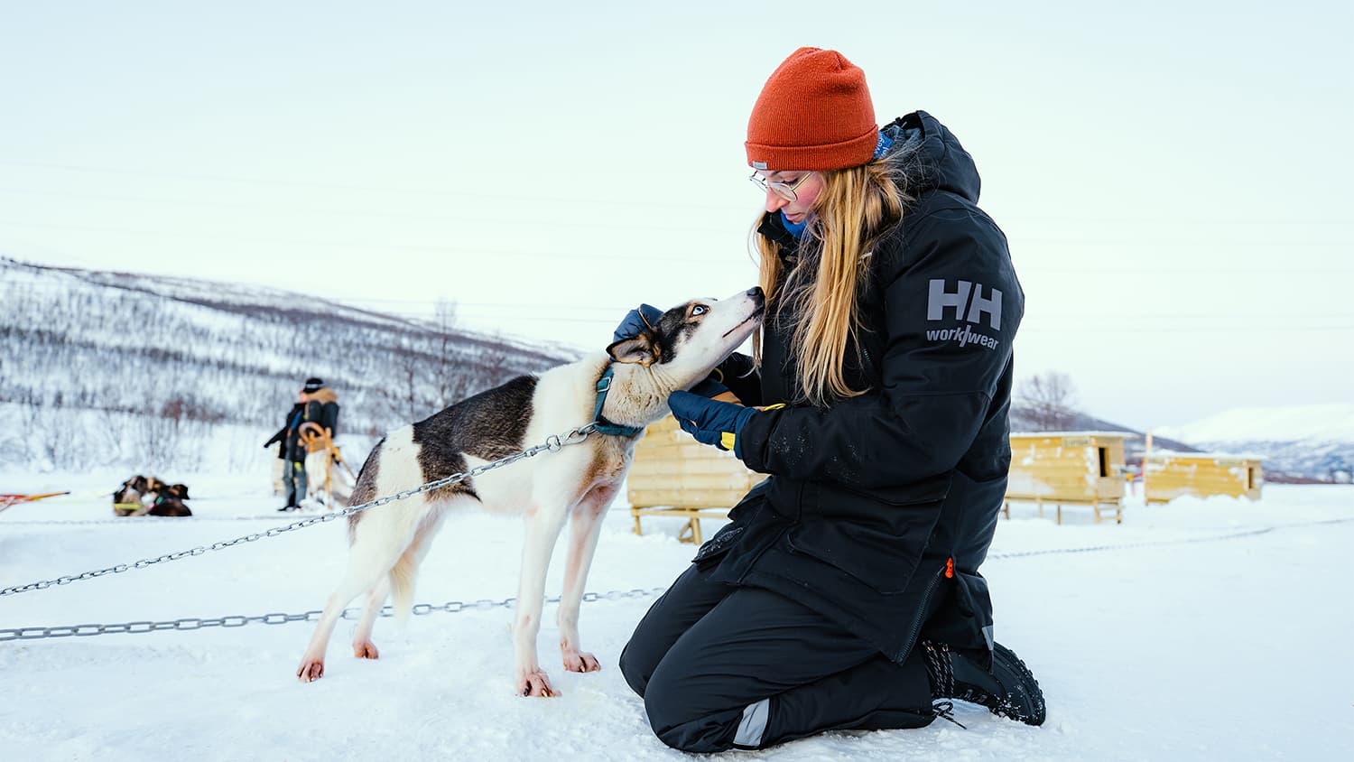 Tromsø: Hundeschlitten-Erlebnis bei Aurora Husky photo 5