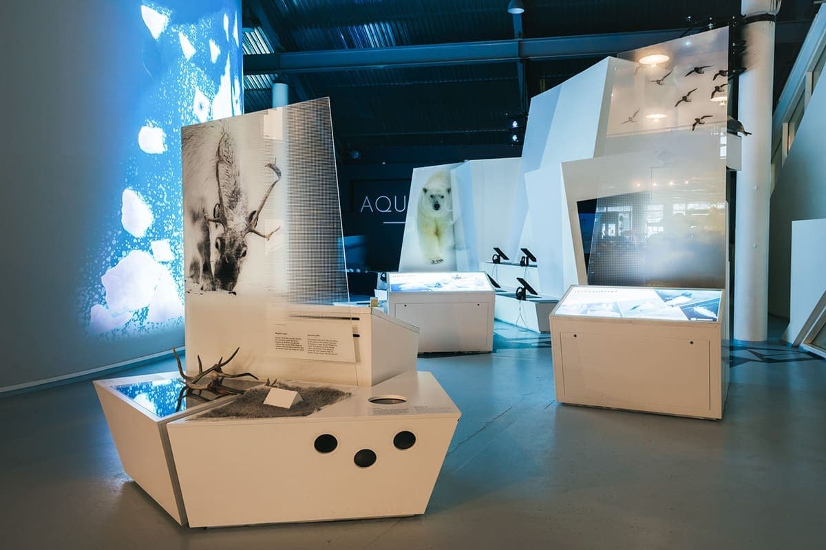 Polaria: Arctic Aquarium and Seal Feeding Entry Ticket photo 7