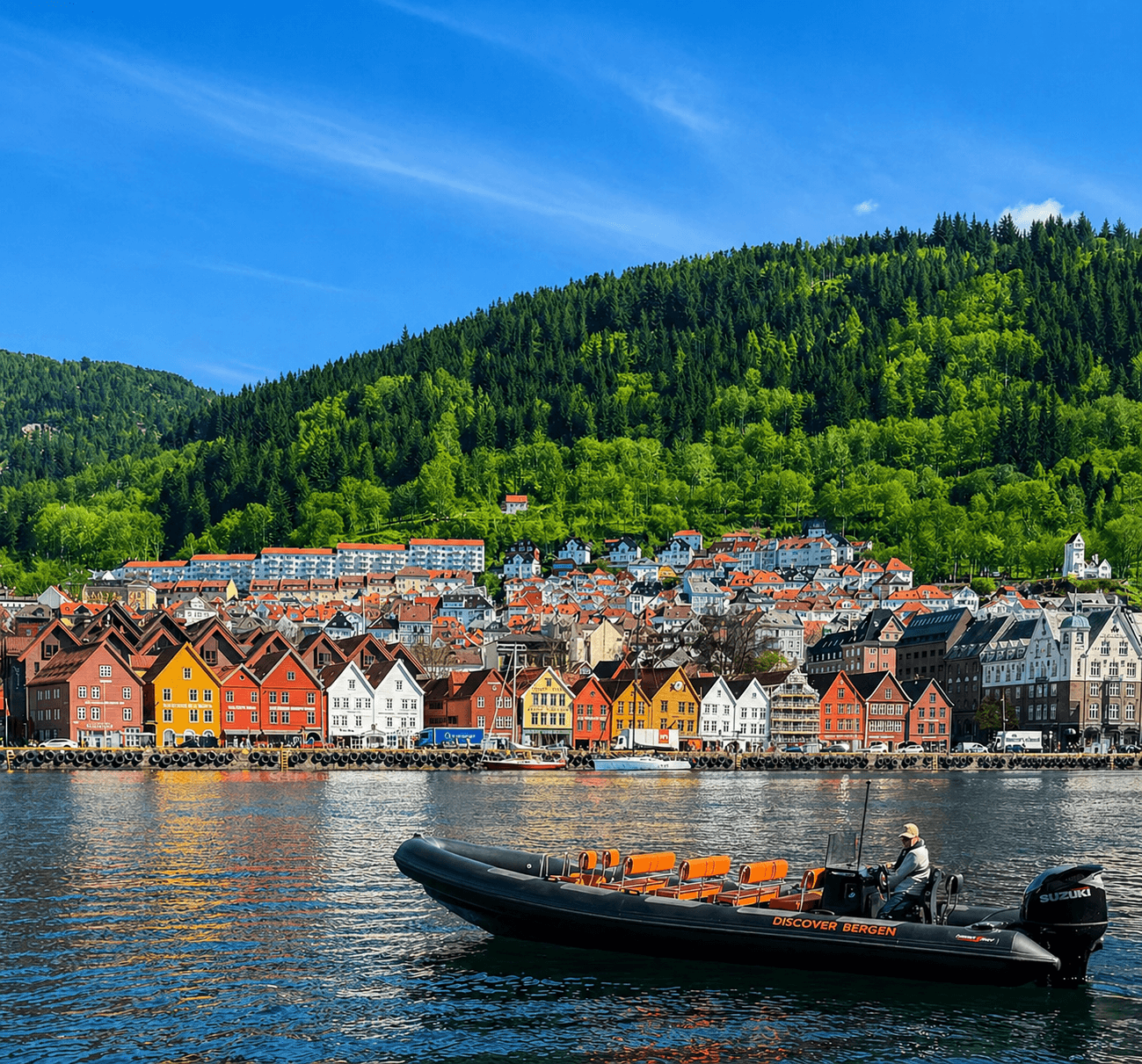 Bergen from the sea