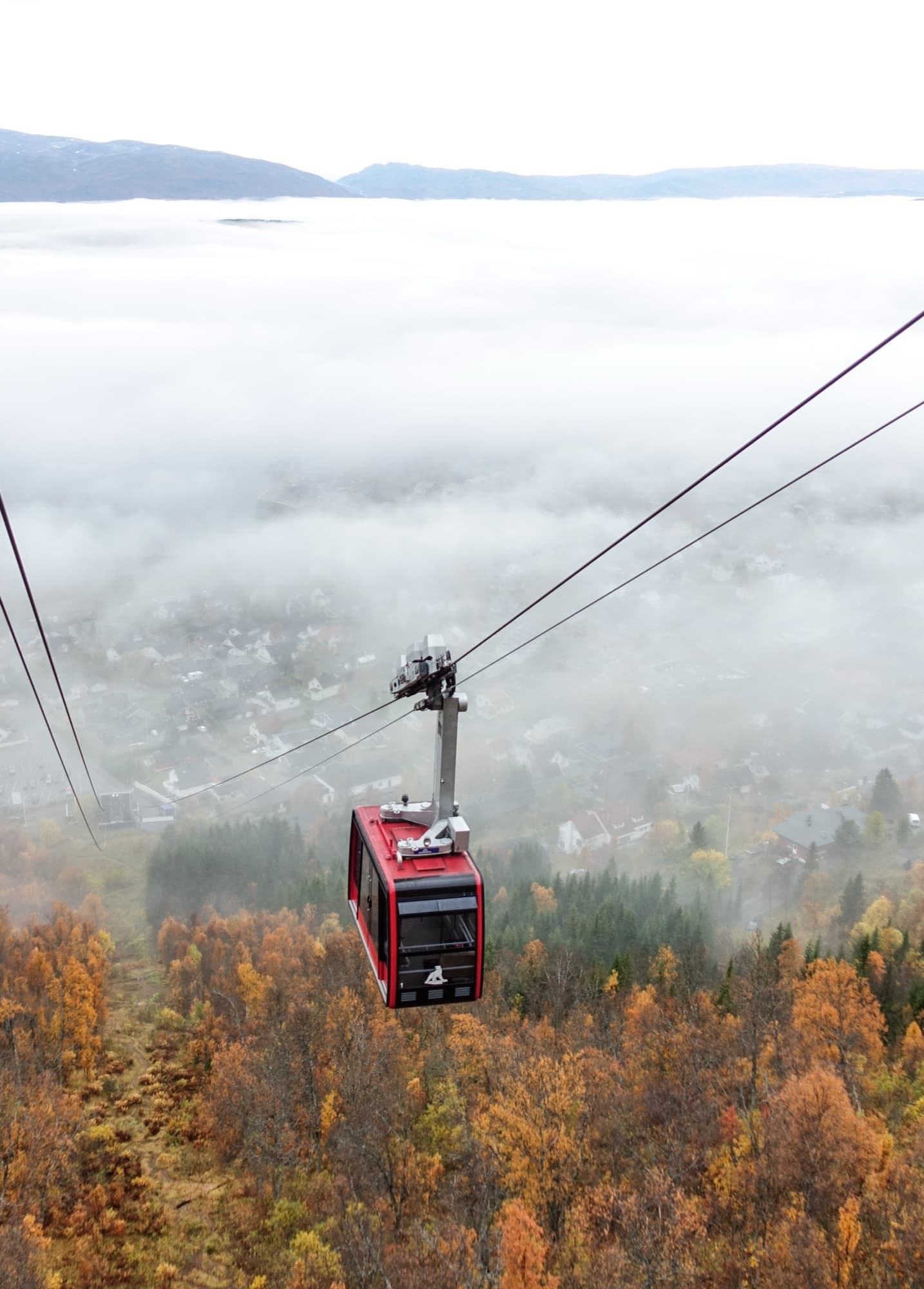 Fjellheisen Cable Car Round Trip with Time Slot photo 6