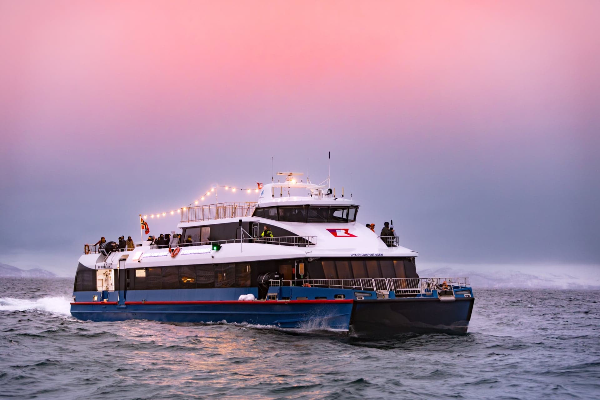 From Tromsø: Whale Watching Safari on High-Speed Catamaran