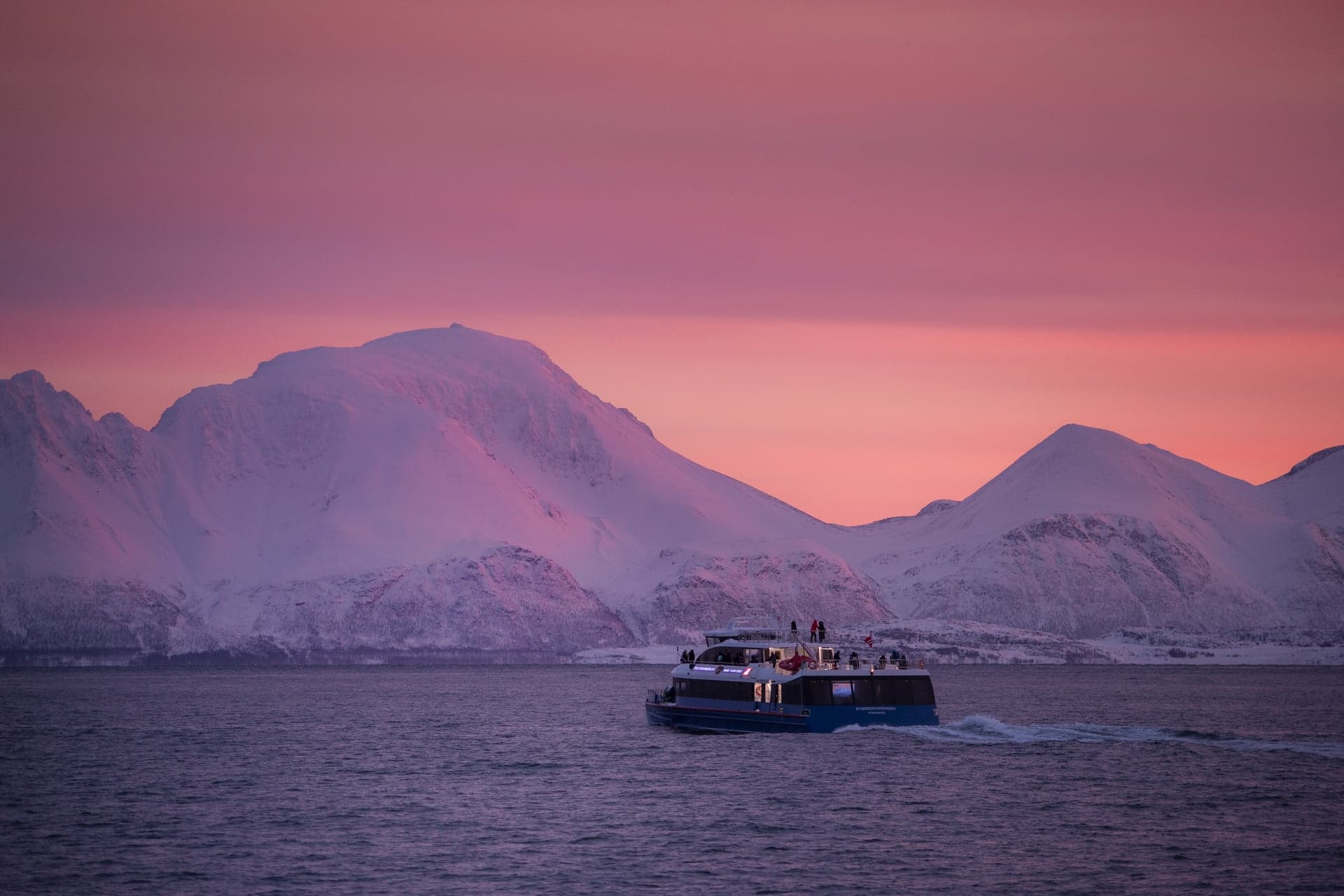 From Tromsø: Whale Watching Safari on High-Speed Catamaran photo 2