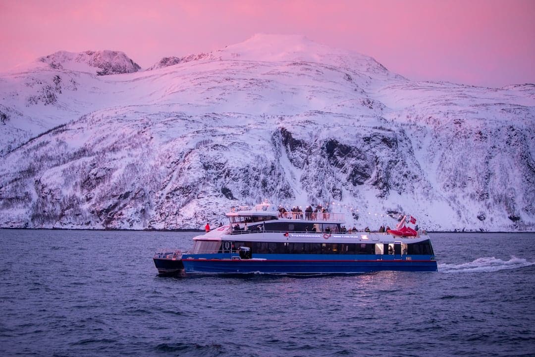 From Tromsø: Whale Watching Safari on High-Speed Catamaran photo 3