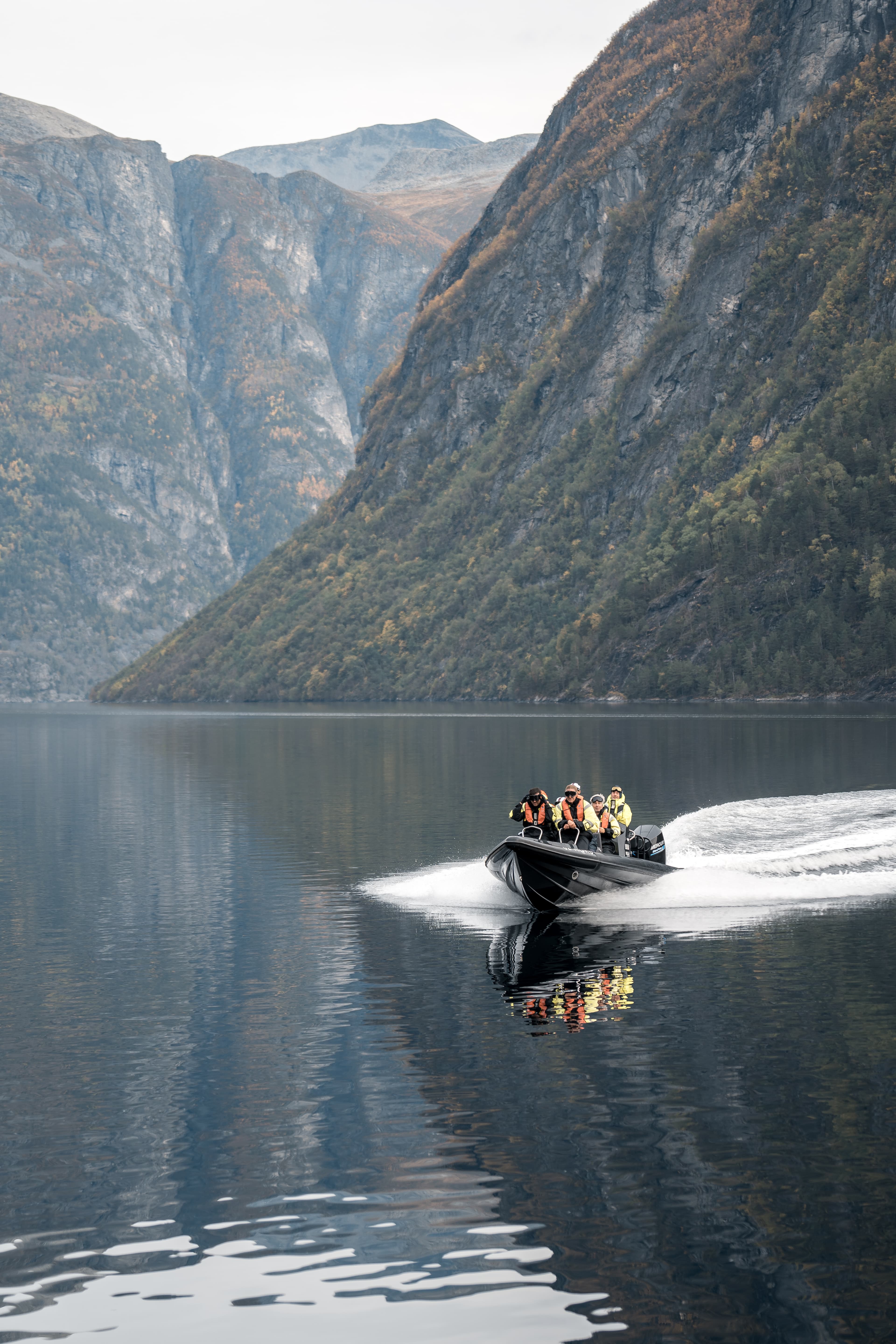 Fjordsafari med RIB til Hjørundfjorden