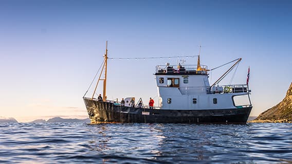 Fisketur i Ålesund photo 4