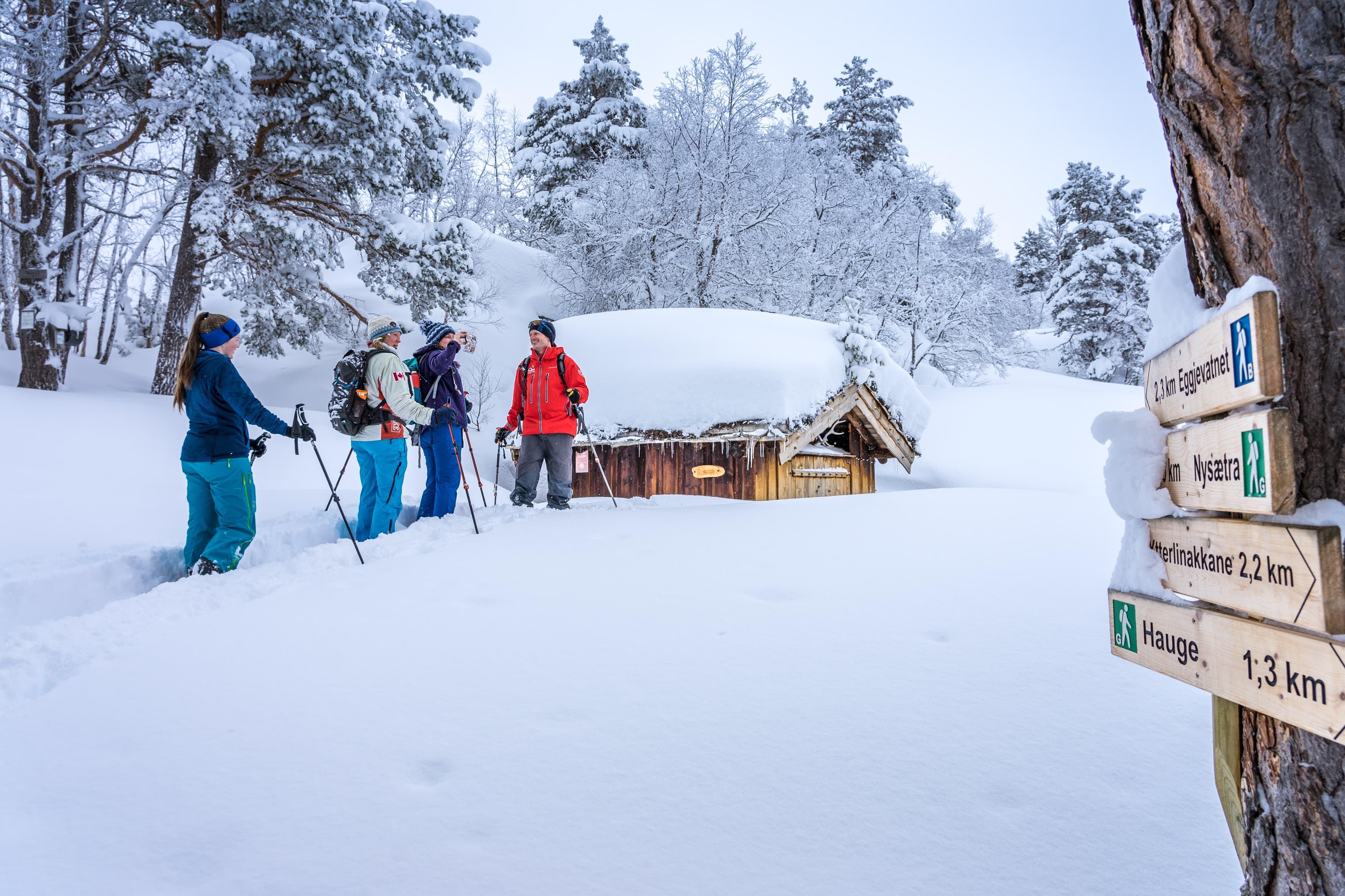 Halvdagstur med truge på Sunnmøre photo 4
