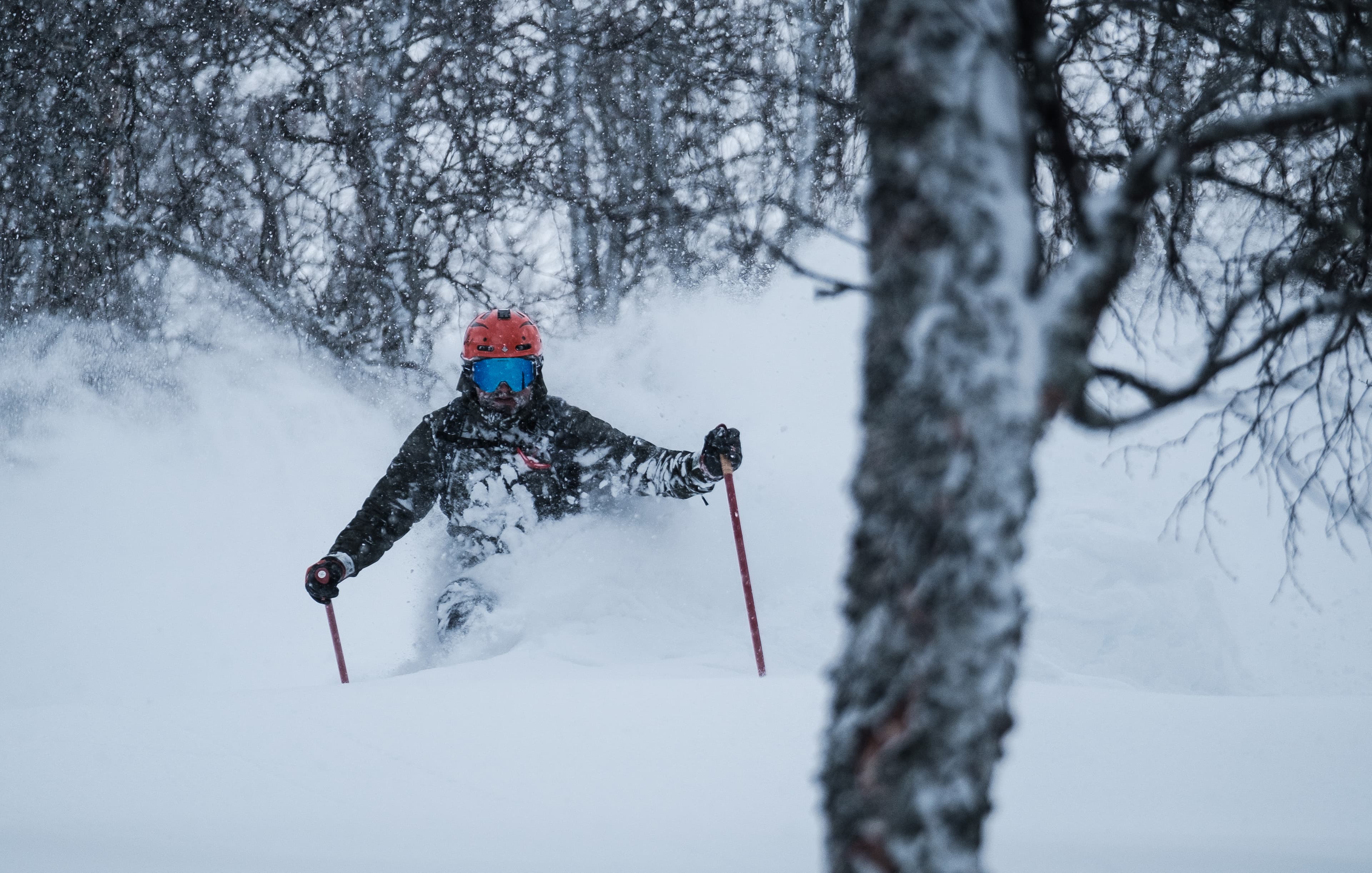 Frikjøring på Strandafjellet skisenter photo 3