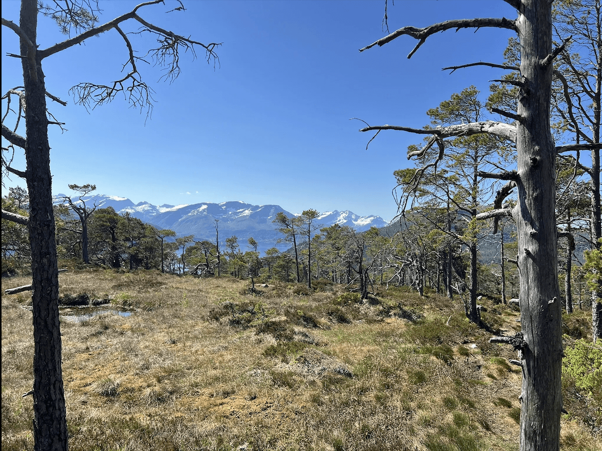 Fjelltur til Haugtua - Storfjord photo 2