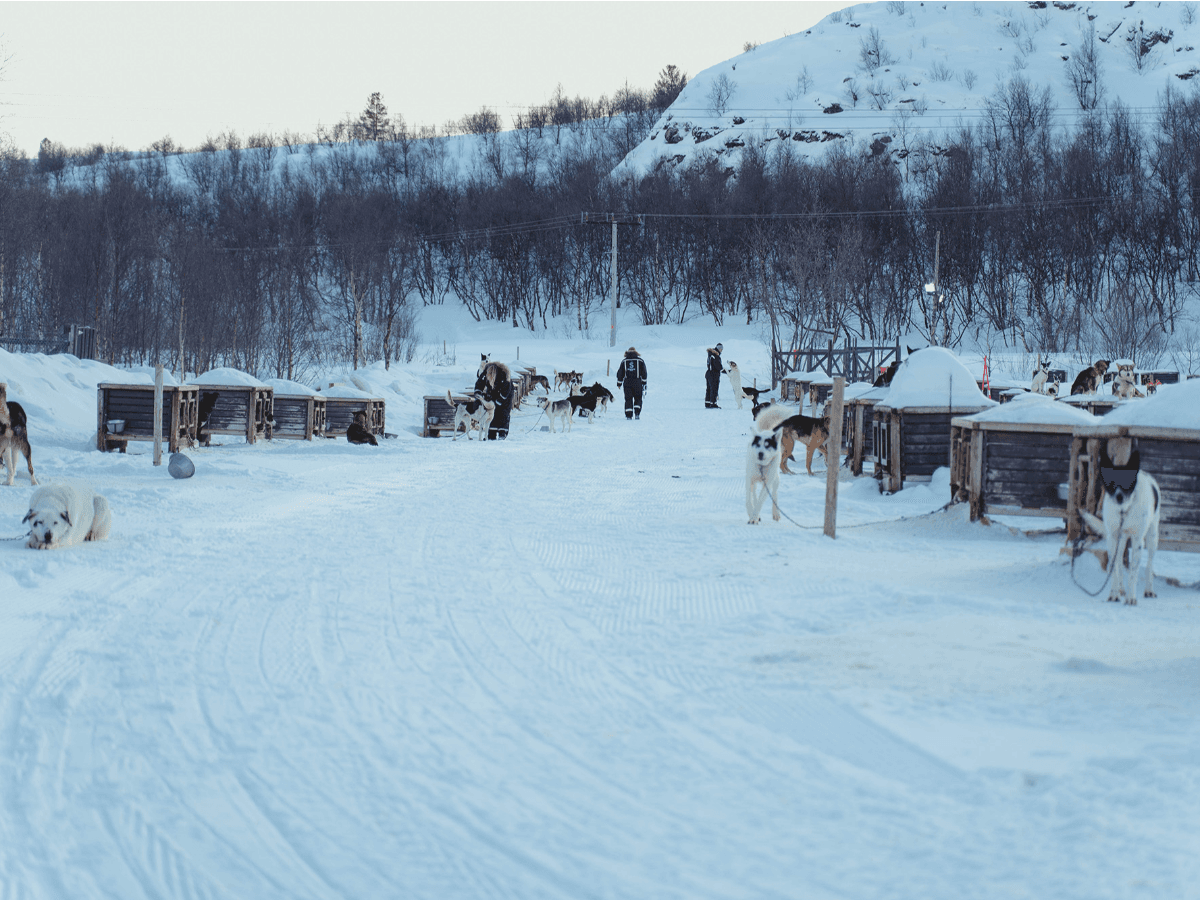 Snow Resort Entrance Ticket photo 8