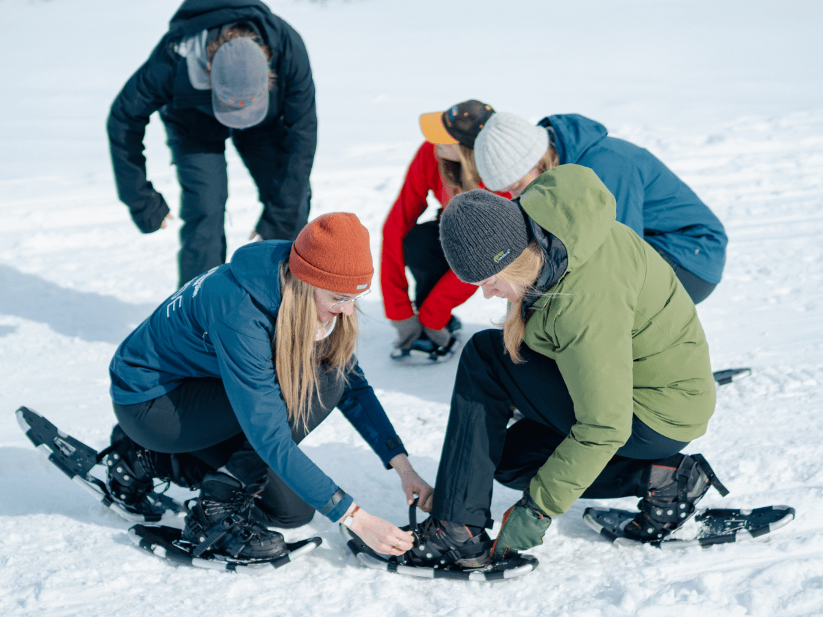 Tromsø: Hike to a Hidden Viking Village photo 3