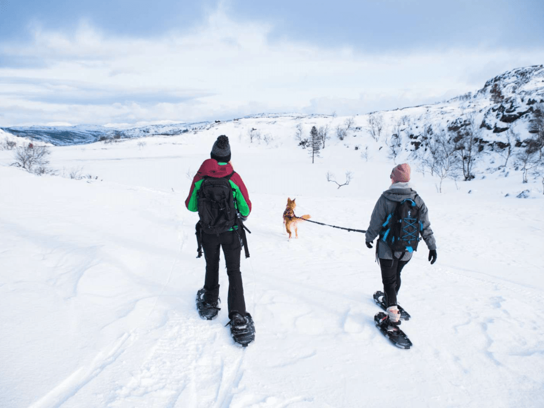Paseo con raquetas de nieve photo 5