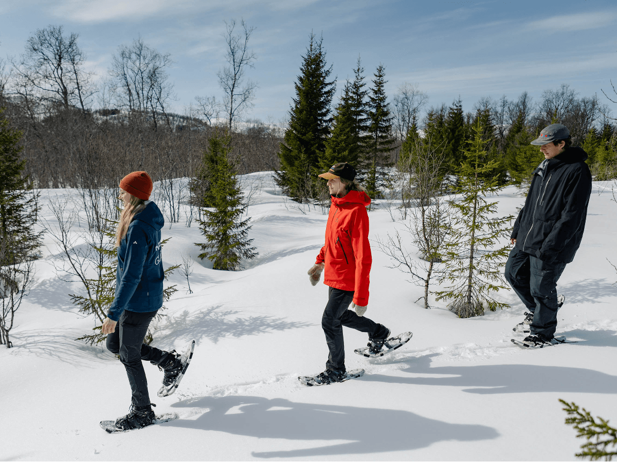 Sommarøy: Daytime Snowshoe Hiking Experience at Sommarøy