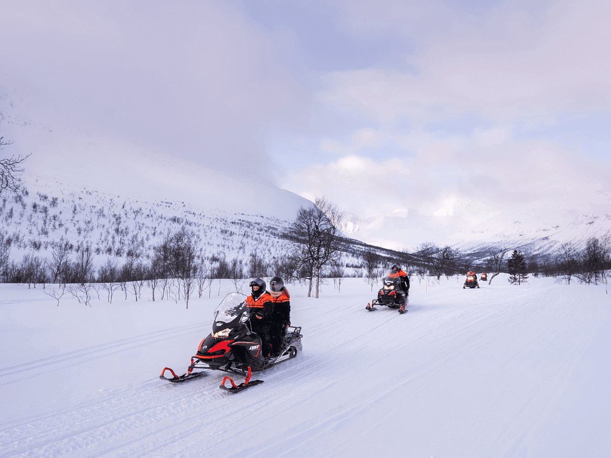 Tromsø: Schneemobilfahren im Camp Tamok photo 3
