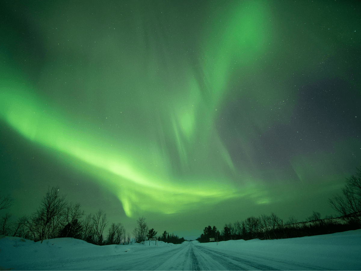 Hunting the Northern Lights by Bus photo 4