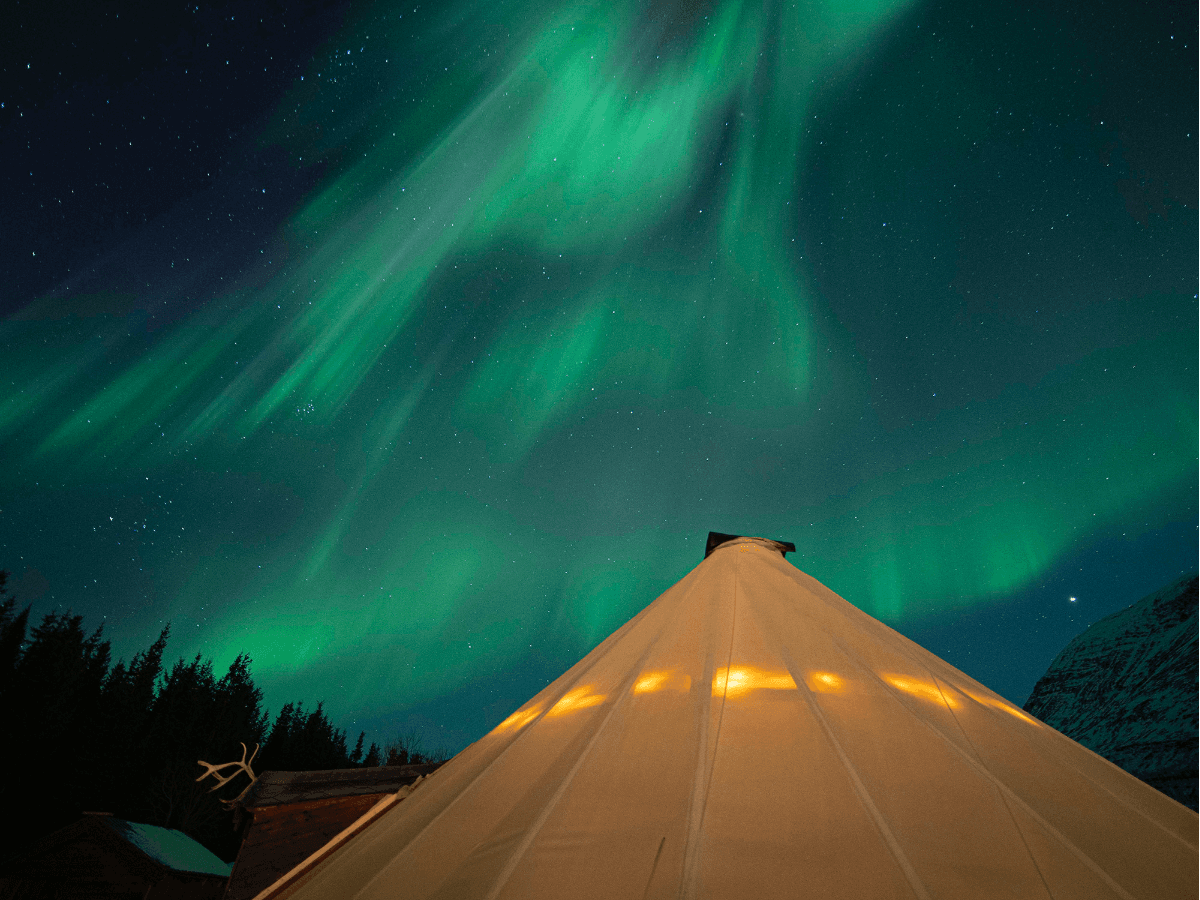 Tromsø: Aurora boreale nella natura a Camp Tamok photo 2