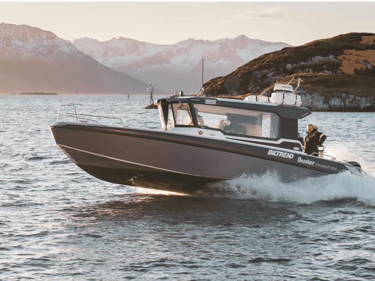 Sommarøy: Sea Eagle Safari by boat at Sommarøy