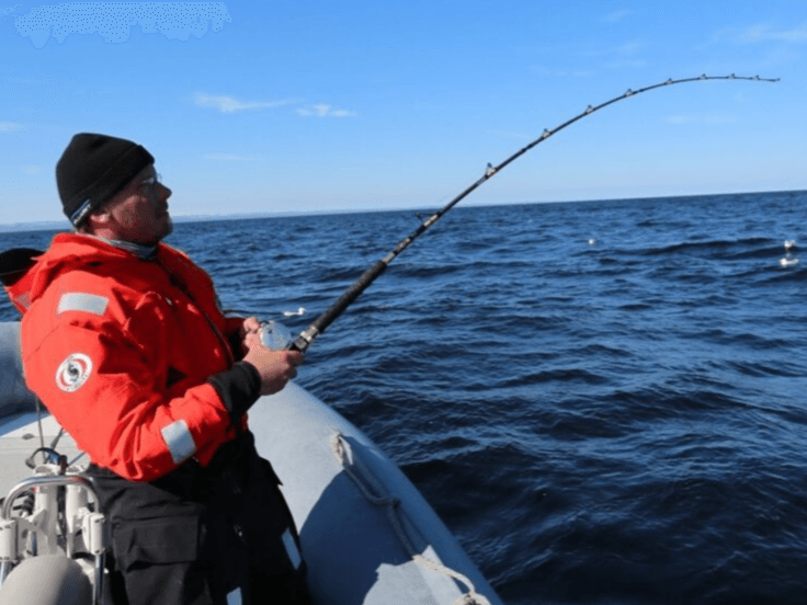 Fishing in the Barents Sea