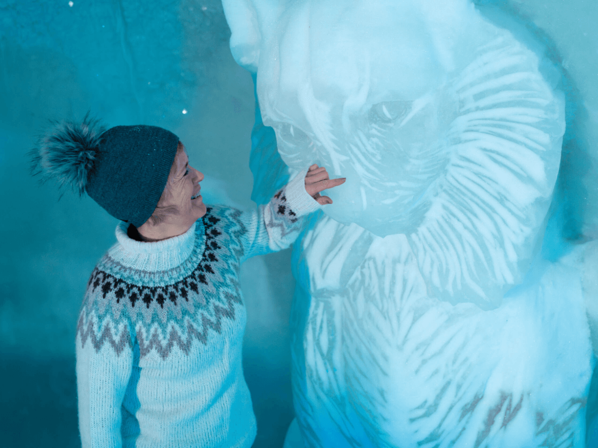 Snow Resort Guided Visit - Excl. Transfer