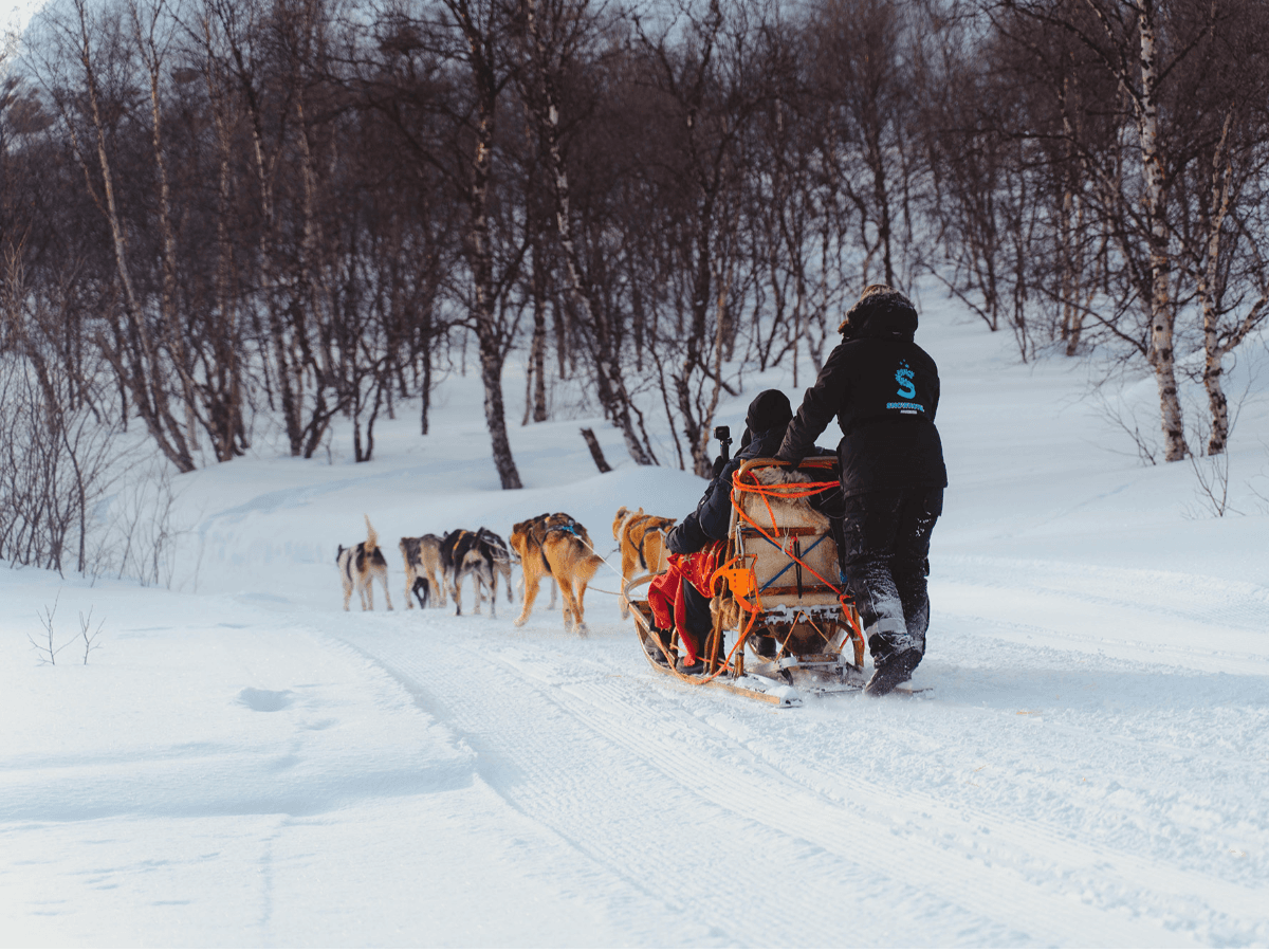 Husky Safari photo 3