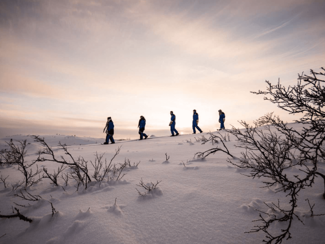 Paseo con raquetas de nieve photo 2
