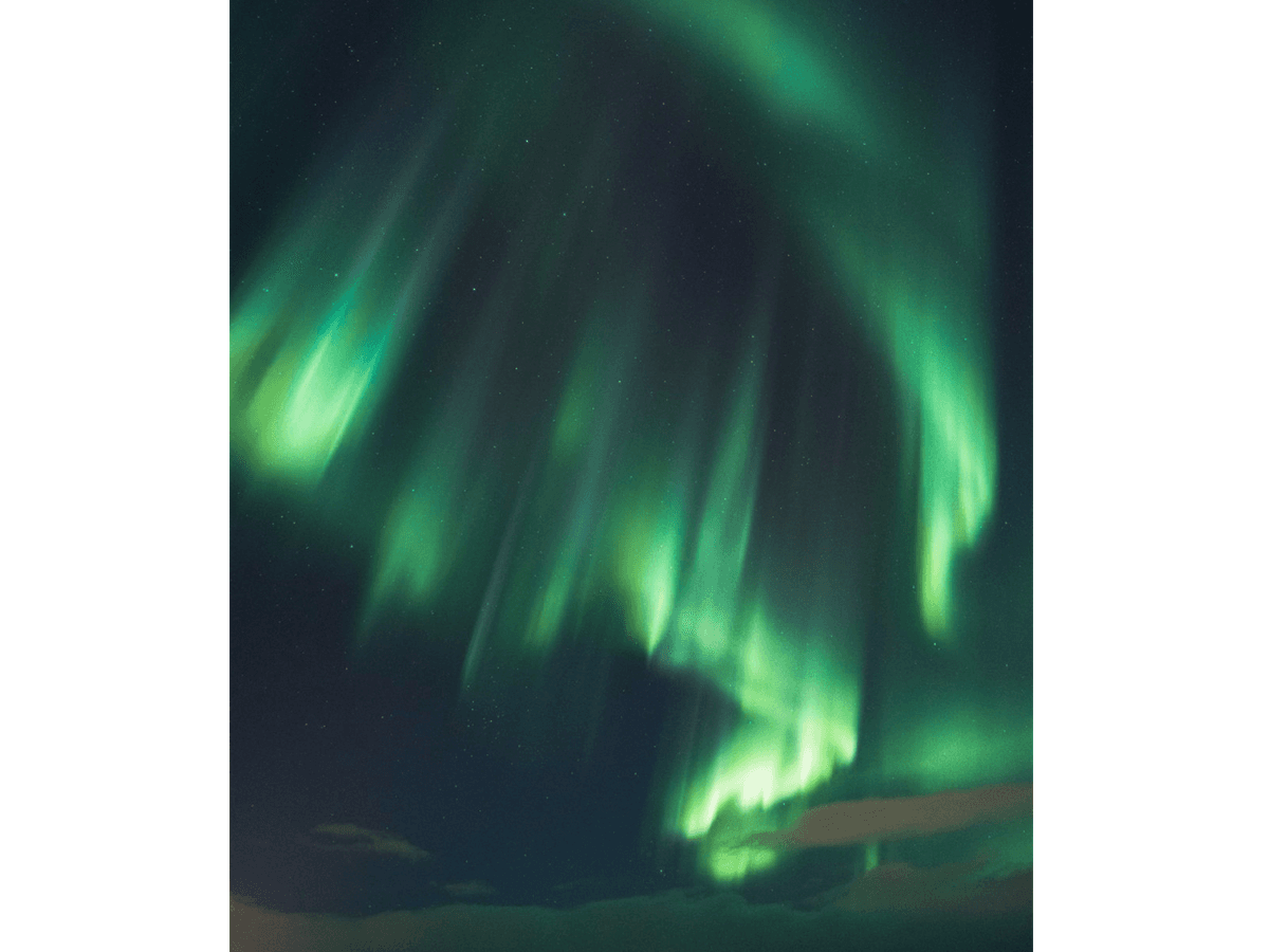 Hunting the Northern Lights by Bus photo 3