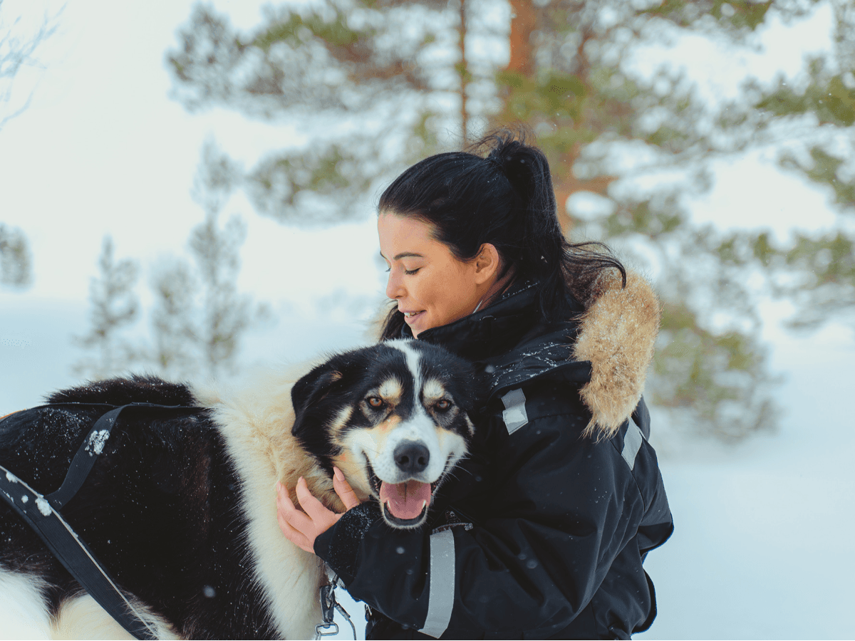 Husky Experience photo 3